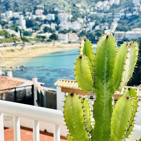 Appartement El Sol. Tu Hogar Junto Al Mar - Comodo 5 Personas En Roses. - Es-258-57